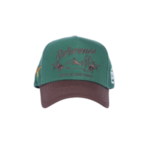 fiddle leaf fig plant